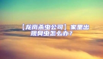 【龍崗殺蟲(chóng)公司】家里出現(xiàn)臭蟲(chóng)怎么辦？