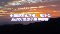 小蟑螂怎么殺要，用什么藥消滅德國小廉小蟑螂