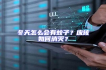 冬天怎么會有蚊子？應該如何消滅？