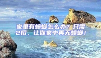 家里有蟑螂怎么辦？只需2招，讓你家中再無(wú)蟑螂！