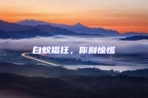 白蟻猖狂，你別驚慌