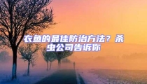 衣魚的最佳防治方法？殺蟲公司告訴你