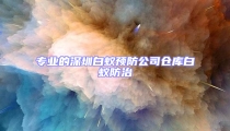 專業的深圳白蟻預防公司倉庫白蟻防治
